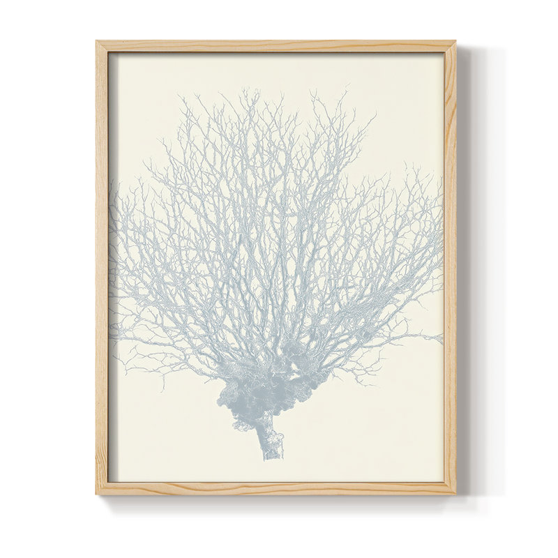 NAUTICAL Series, reproduction encadrée en bois massif, H 21 po x l 17 po, Naturel