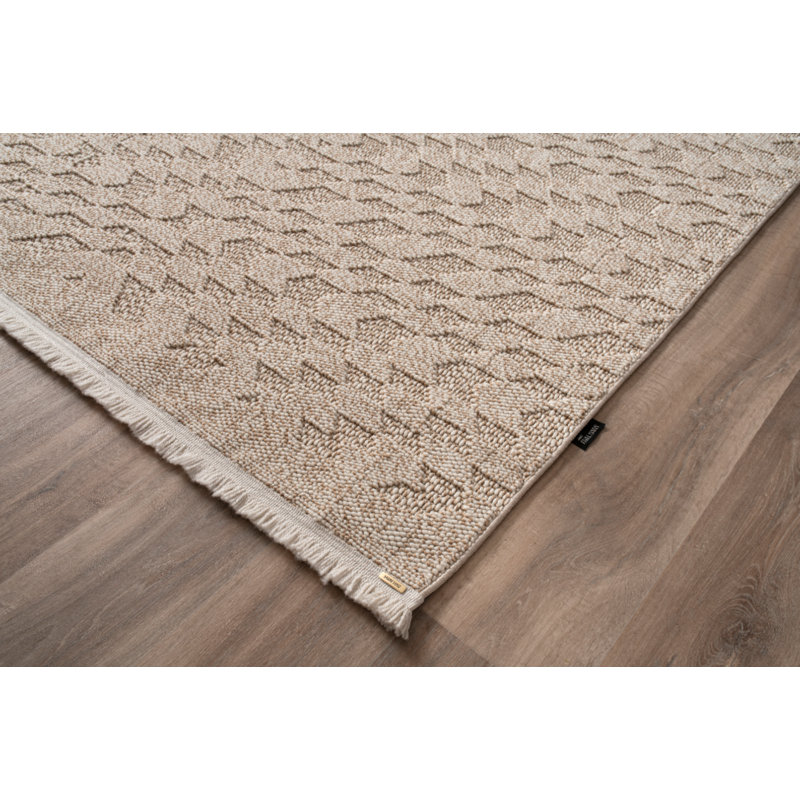 Tapis en coton Parvaneh, Rectangle 5 pi 3 po x 7 pi 7 po