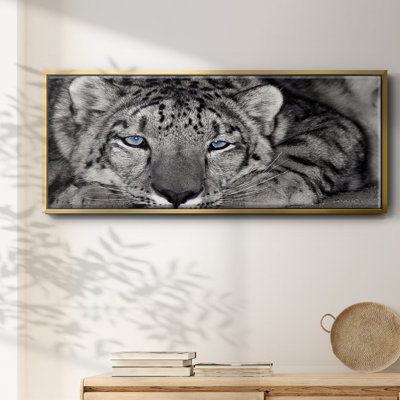 Snow Leopard Sanctuary - toile encadrée