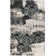 Hand Woven Indoor Rug