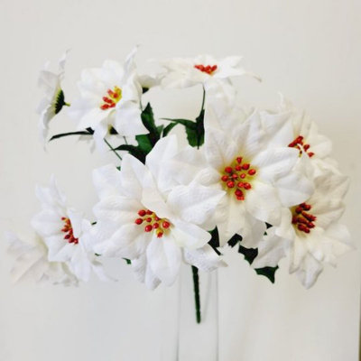 Poinsettia