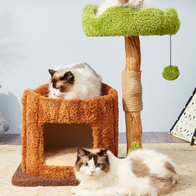 Arbre à chat 1 étages avec condons, perchoir, griffoirs