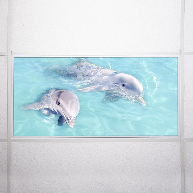 Ocean Classroom Fluorescent Light Covers for Ceiling Lights - For 2x4 Light Fixture - by Octo Lights