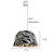 1-light Black Pendant Light