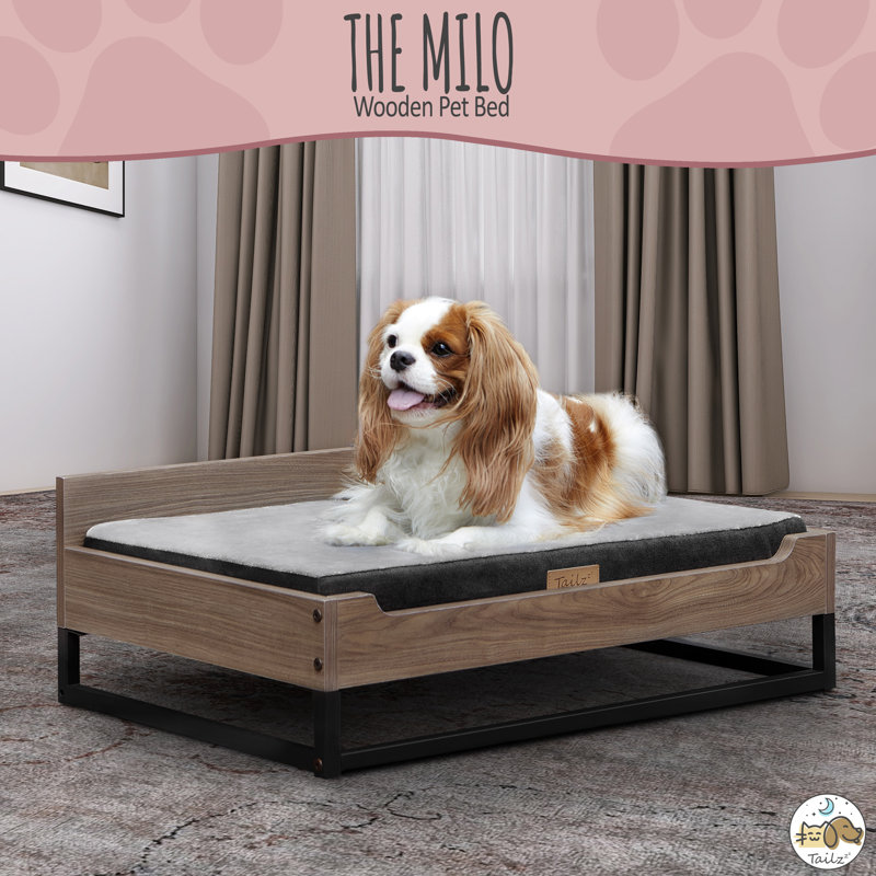 Polyester Pet Bed, Small (30.43" L x 19.4" W x 10" H)