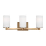Aydrien 3 - Light Dimmable Vanity Light