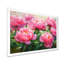 Pivoines par le champ de printemps I - pivoines, art mural-1275360795-1118289219-1275360771