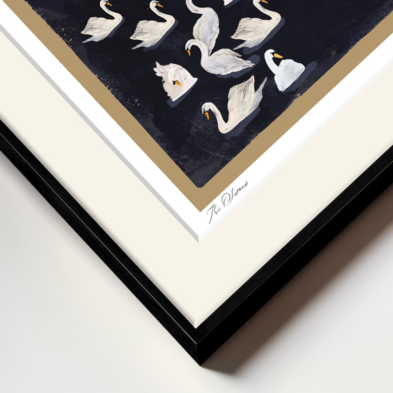 Les cygnes - un assemblage gracieux de cygnes blancs sur les eaux profondes de minuit | H 24 po x l 32 po | Cadre noir, Noir