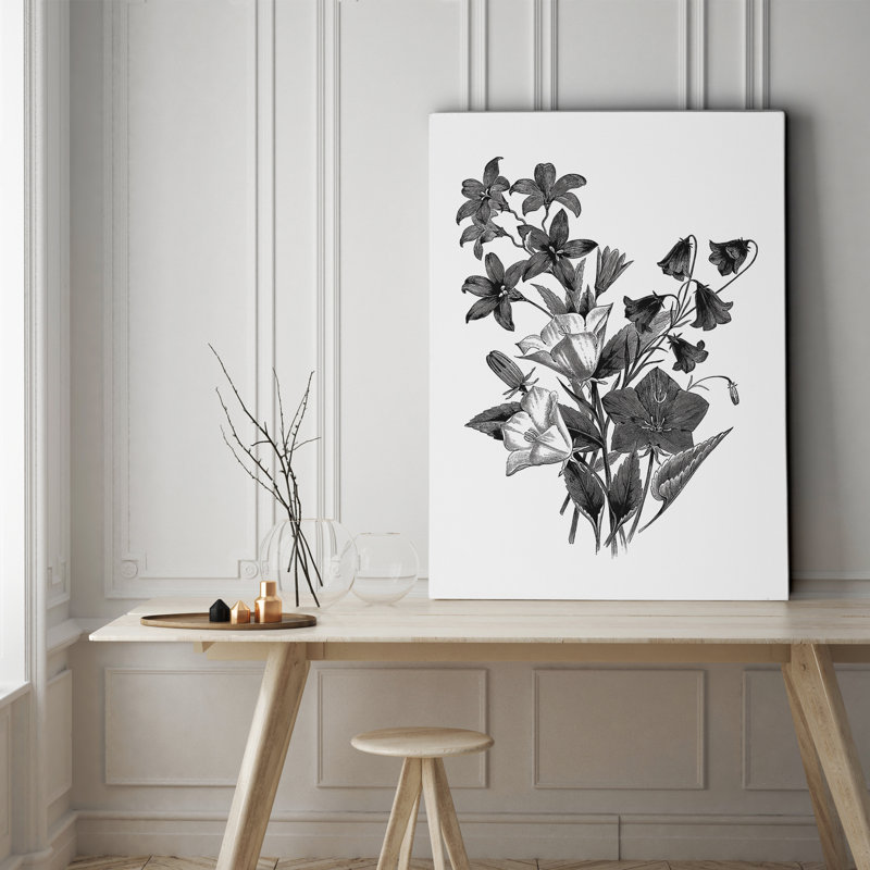 « botanique noir et blanc ii », reproduction d’impression sur toile tendue, H 16 po x l 20 po x P 1,5 po