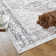 Chenille Mashine Washable Oriental Indoor Arae Rug with Non-Slip Backing for Bedroom Living Room Kitchen Entryway