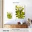 Rhododendron occidental-132992968