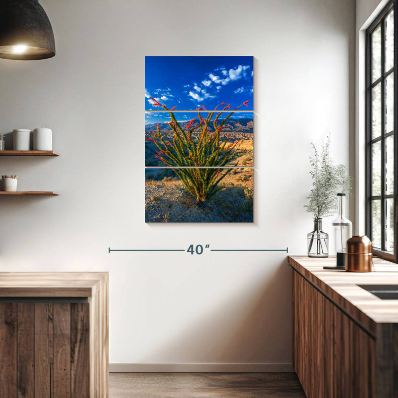 Harnek Ocotillo In Anza Borrego, 38" H x 24" W