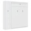 Lit escamotable Ashen avec tablettes, garde-robe et lumière DEL-115825685-121422759