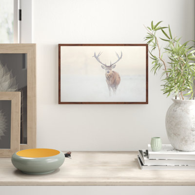 Parvez Taj - Single Picture Frame Print
