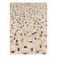 Tapis Jed
