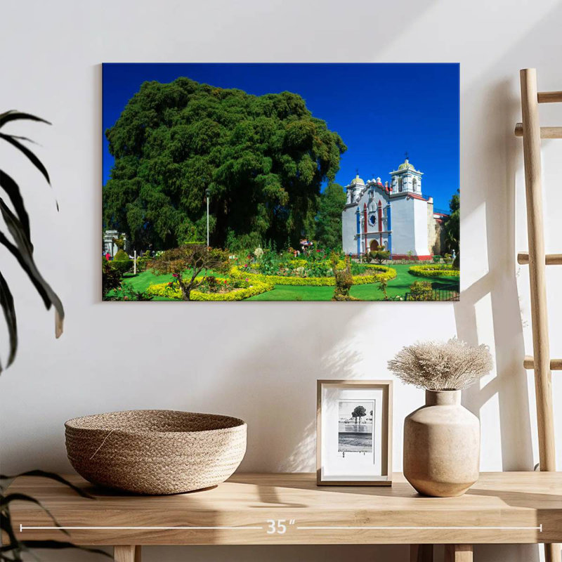 Adella Mexico's El Tule Tree, 16" H x 24" W