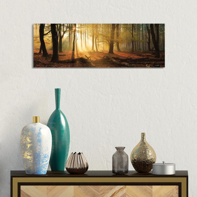 Speulderbos Panorama by Martin Podt - Wrapped Canvas Panoramic Painting