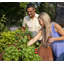 Roumen Elevated Planter
