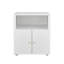 Mobile File Cabinet with Wheels & 2 Locking Doors – Rolling Steel Printer Stand with Open Shelf, Modern Filing Cabinet on Casters for Home Office, Lateral File Cabinet Organizer-130827558-130827557