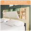 Structure de lit tapissier très grand avec 4 tiroirs de rangement, érable Billericay-102834367