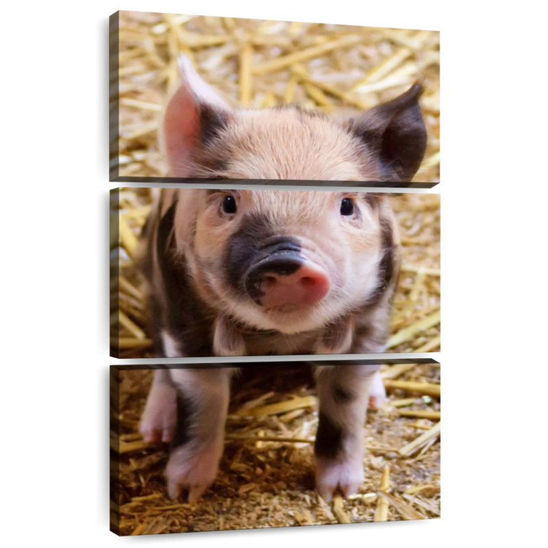 Porcelet Brampt Farm, H 50 po x l 32 po