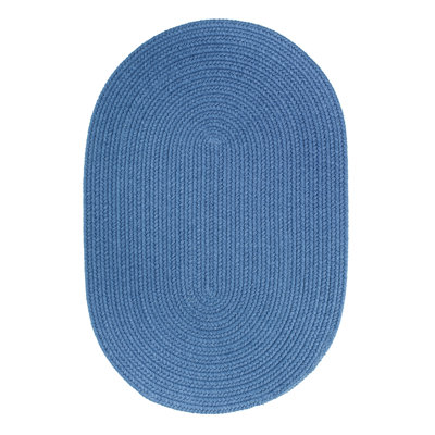 Smyth Hand Braided Synthetic Indoor Rug