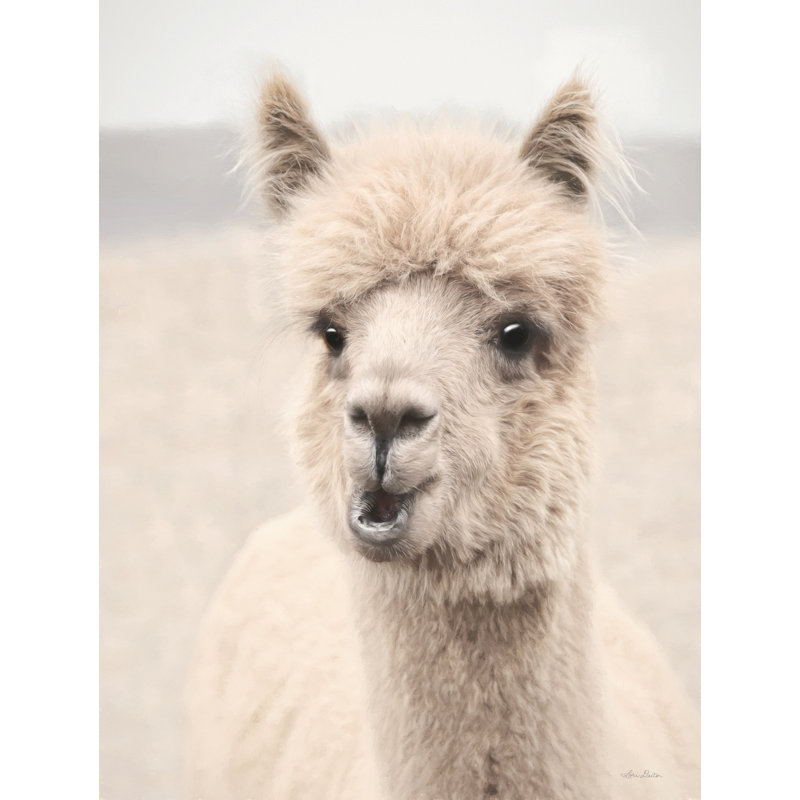 «Jammey Soft Alpaca 2 on Canvas» par Lori Deiter, reproduction, H 18 po x l 12 po