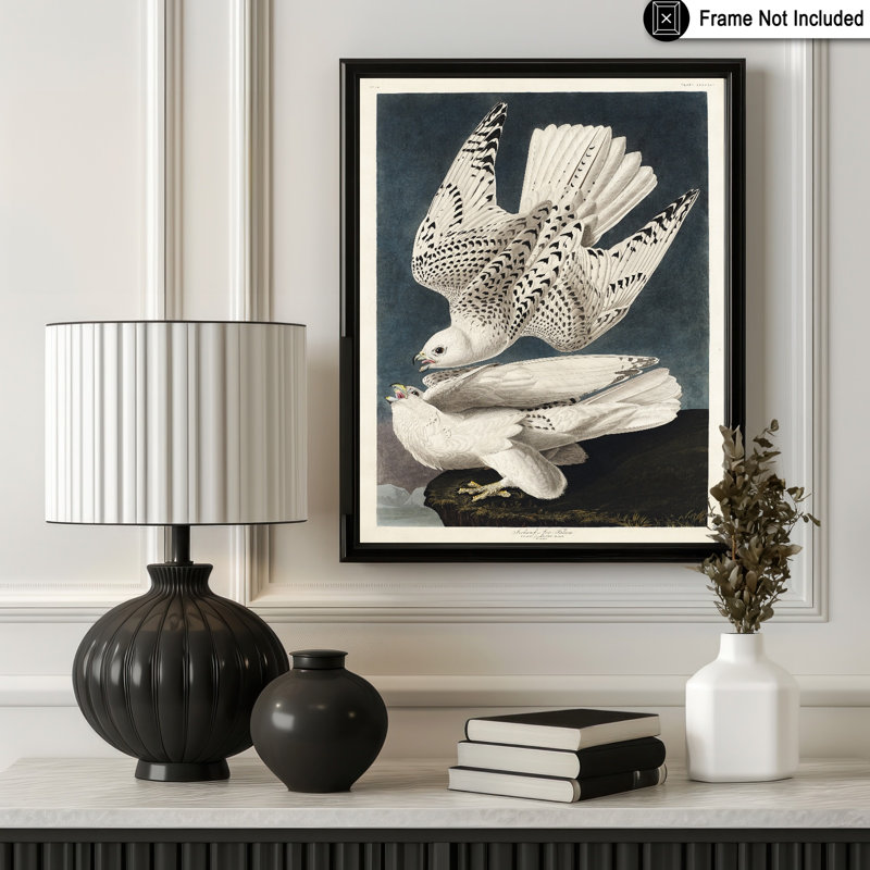 John James Audubon - Gyrfalcon, Unframed, Poster, 12"H x 16"W