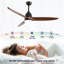 Hot sales 52 Inch Modern Black Ceiling Fan With 3 Colour Dimmable 5 Solide Wood Blades Remote Control Reversible DC Motor With Led Light-227070034