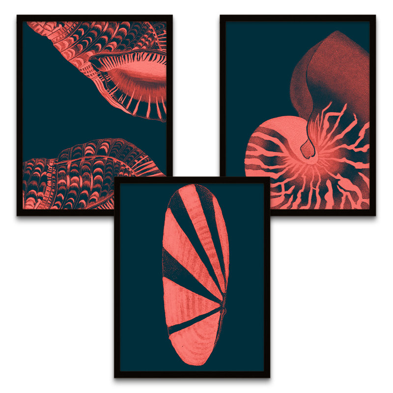 Pink Seashells - 3 Piece Print Set