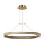 Ashok LED Chandelier-1806376519