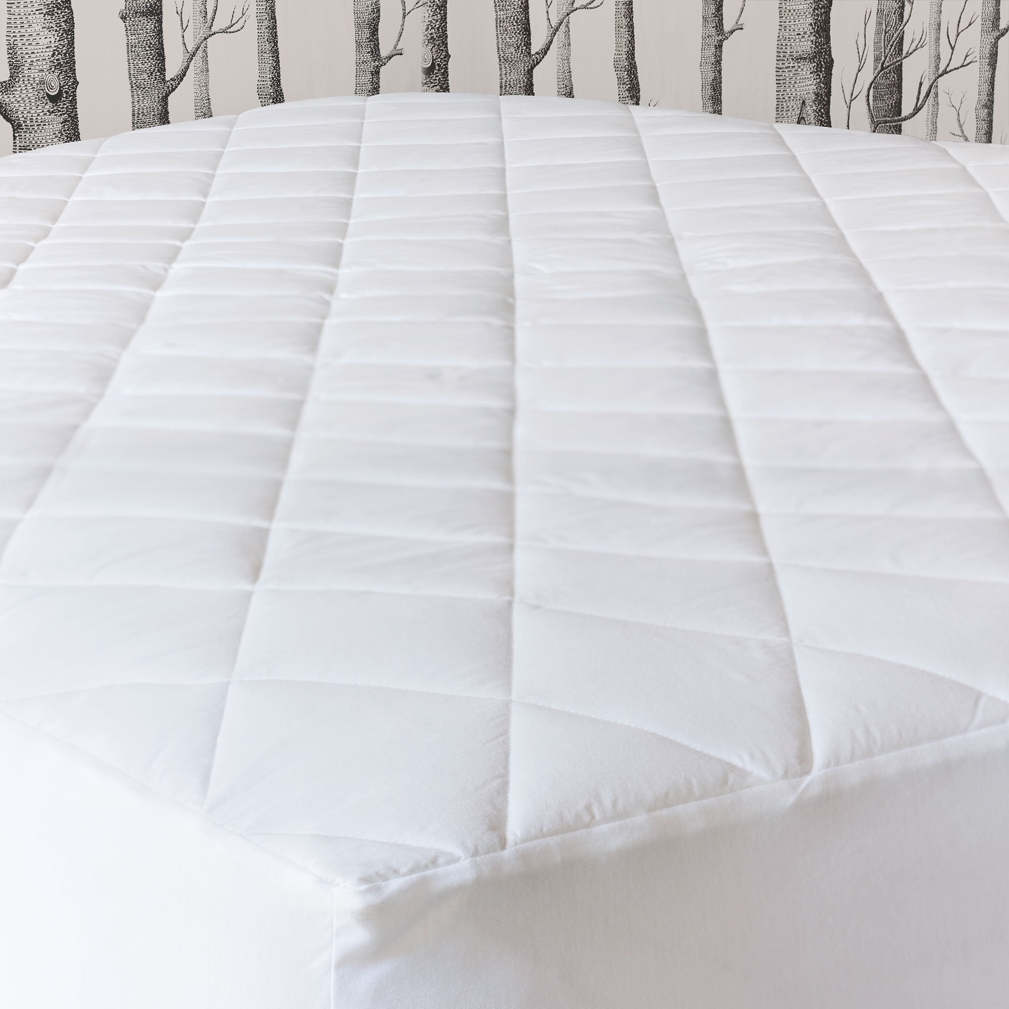 https://assets.wfcdn.com/im/60524527/compr-r85/2032/203299592/hartley-1-cotton-mattress-pad.jpg