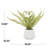 13.8 " H Faux Fern Plant