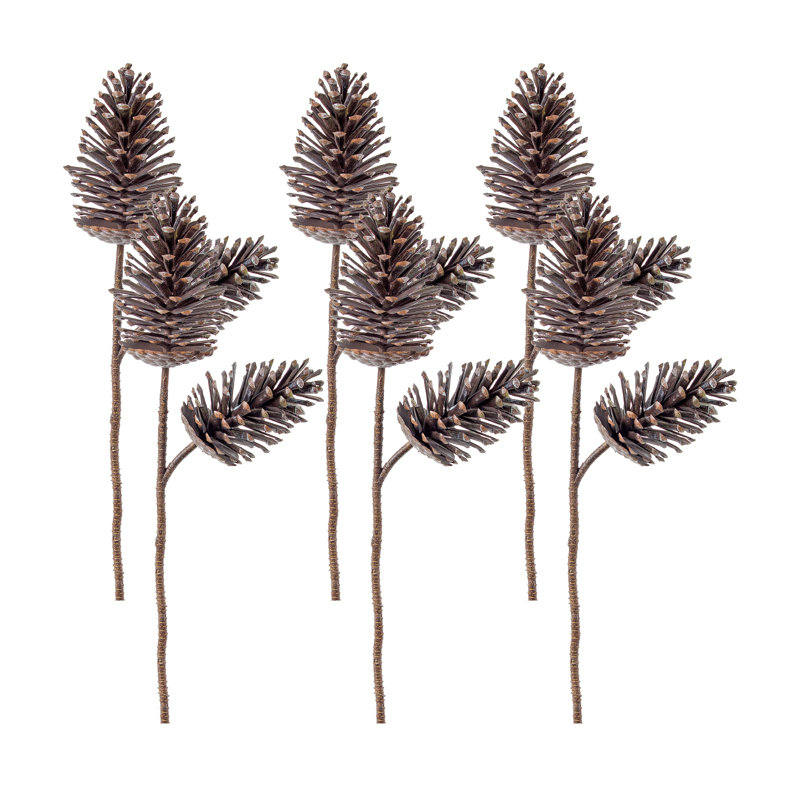 Vaporisateur de pin conique