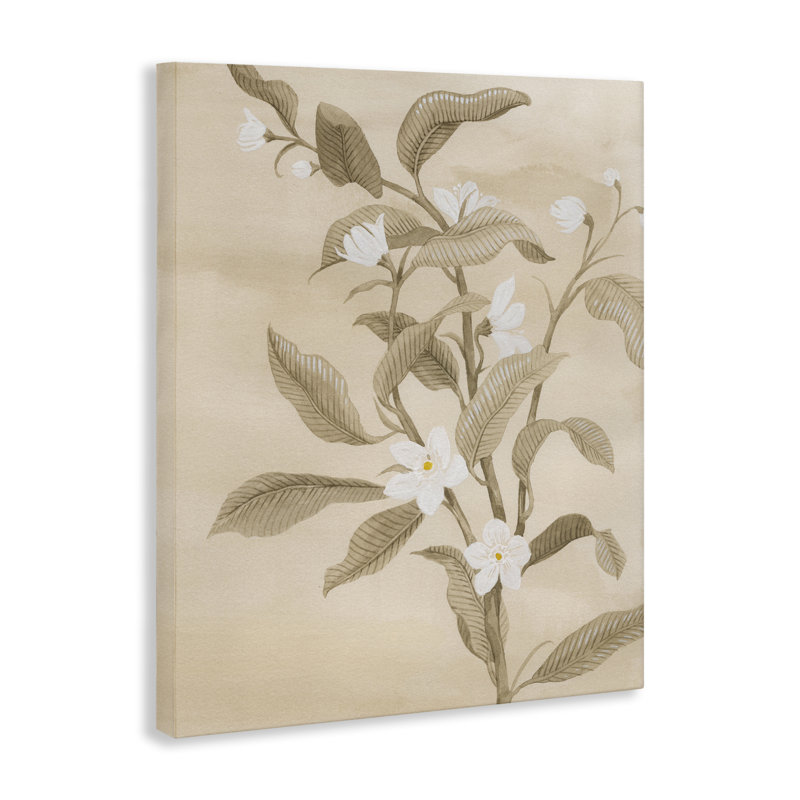 «Neutral Daffodils Canvas Art» par Grace Popp, H 30 po x l 24 po