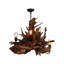 Eriane 5 - Light Chandelier