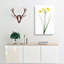 Rush Daffodil Flowers by Pierre-Joseph Redoute - Wrapped Canvas Print-55323273