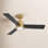 Morrow 48" Smart Ceiling Fan with LED Light Kit