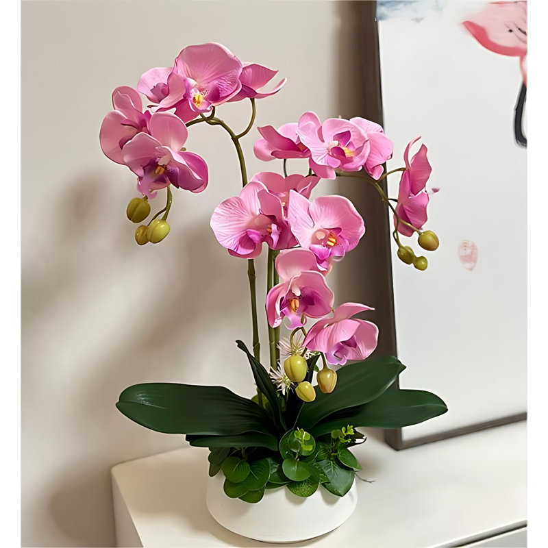 Composition d'assortiment mixte dans un vase, Rose