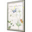 Ephemeral Bloom Print