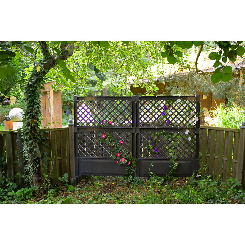 140cm H x 100cm W Plastic Expanding Trellis, Anthracite