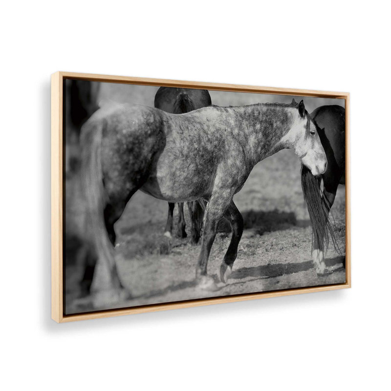 «Painted Pony» par Nathan Larson, reproduction d'art, 18 W x 12 H, Tan, Framed Canvas