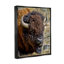 «Stupell Industries Bison Resting», art mural sur toile par Dennis Frates-91340464-91340458