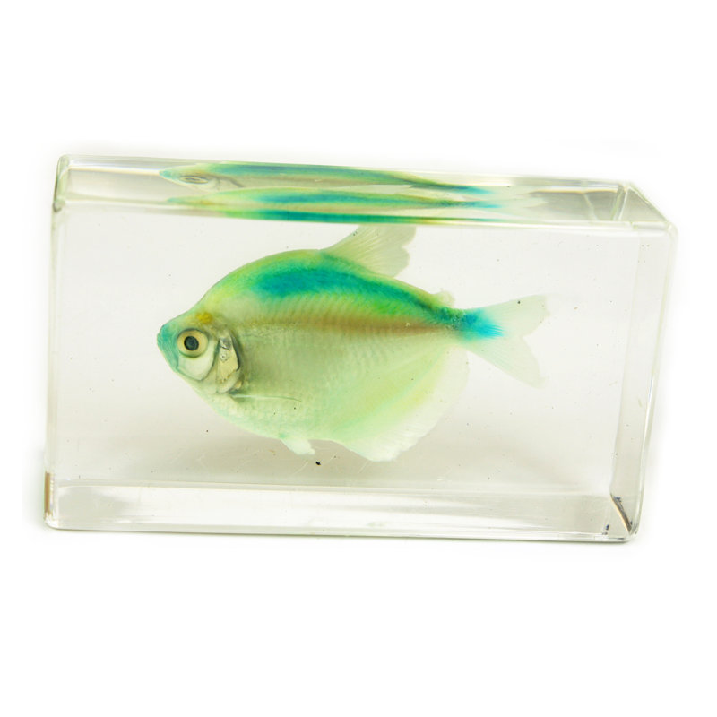 Phillippi Animals Figurines & Sculptures