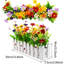 Arrangement de marguerites en pot