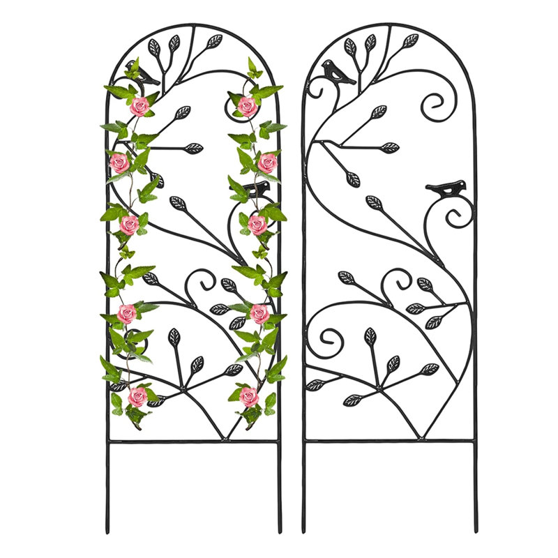 176.5cm H x 50cm W Iron Arched