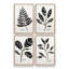Ensemble de 4 botaniques noirs et blancs-1479030350-1479030348