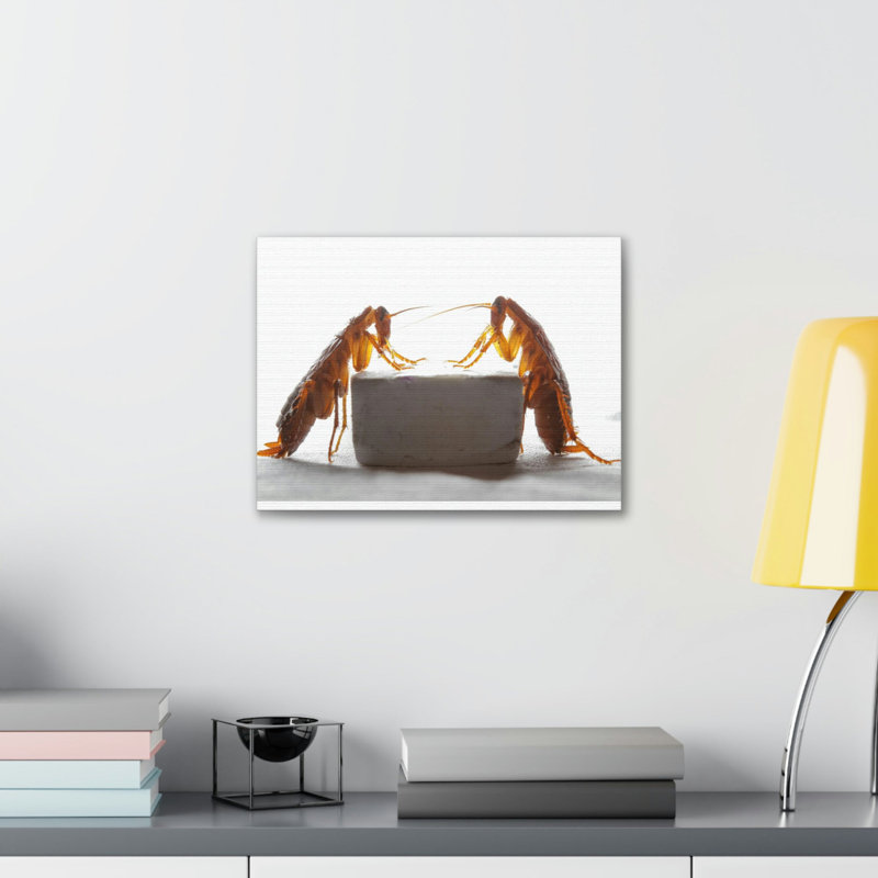 «Cockroach Couple», impression d'art mural, H 12 po x l 18 po