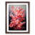 Walnut Framed selected
