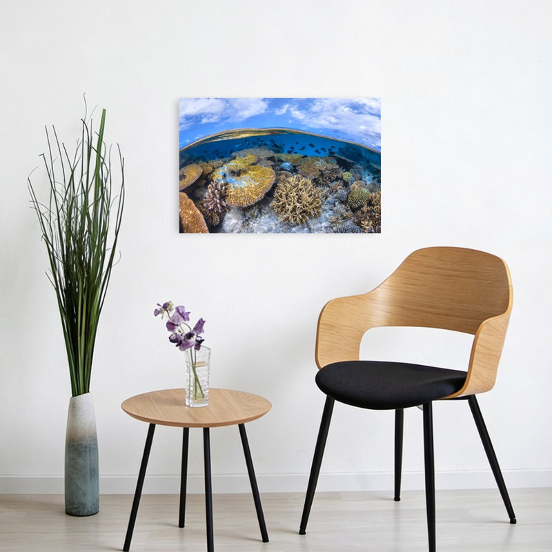 Vibrant Coral Ocean Scene Colorful Vibrant Abstract Fish Nature Ocean Wall Art Print 1 Piece Wrapped Canvas Wall Art